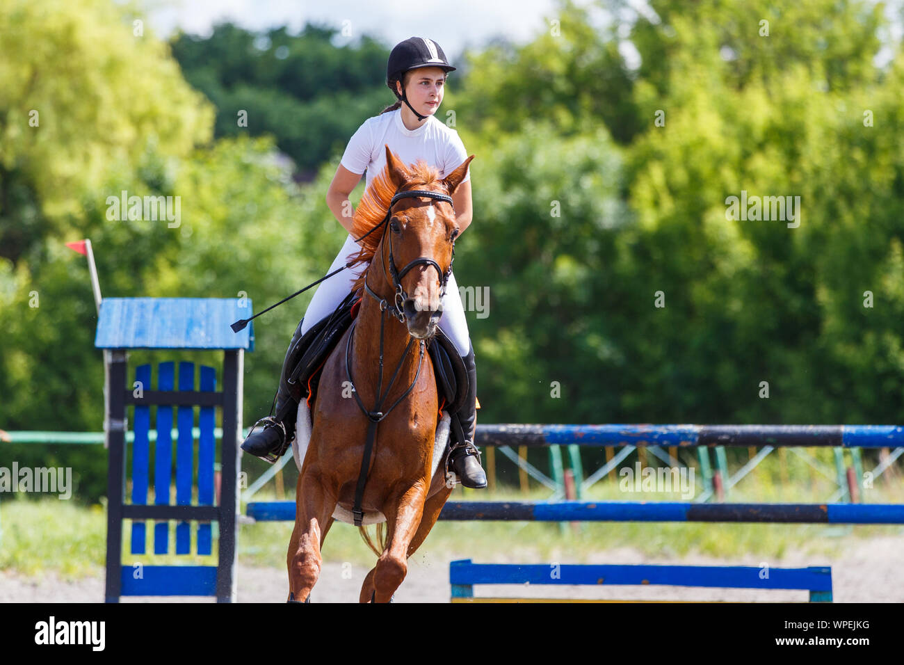 Young girl riding horse on equestrian sport contest. Show jumping image