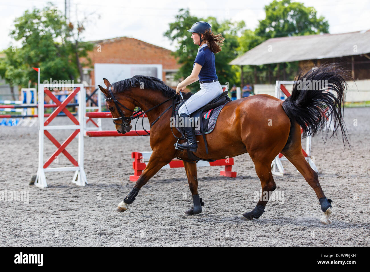 Young female horse rider on equestrian sport competition Stock Photo