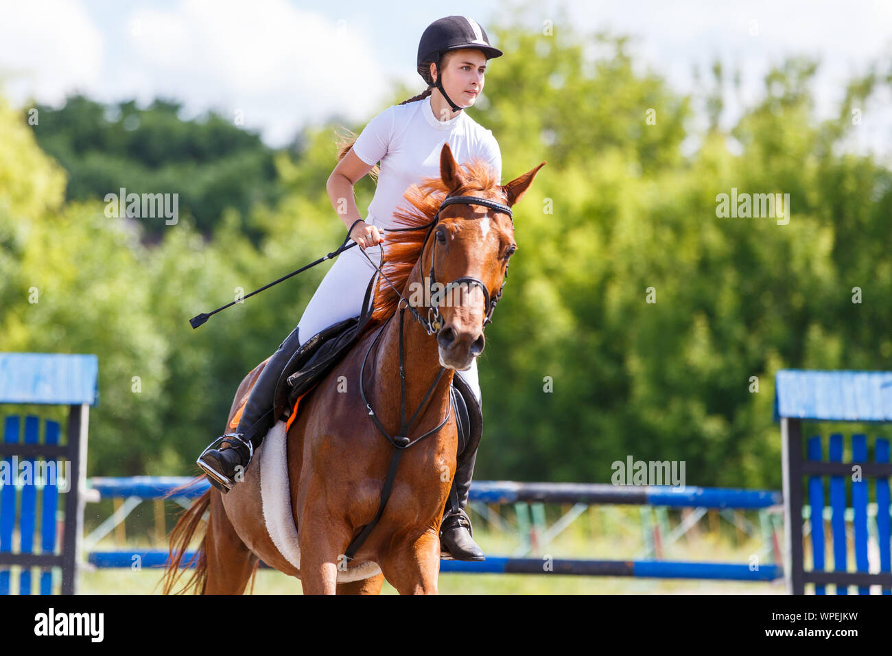 Young female horse rider on equestrian sport competition Stock Photo