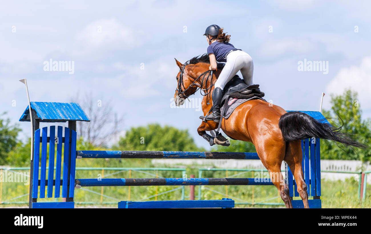 Young horse rider woman jumping over the obstacle on show jumping competition. Equestrian sport background with copy space Stock Photo