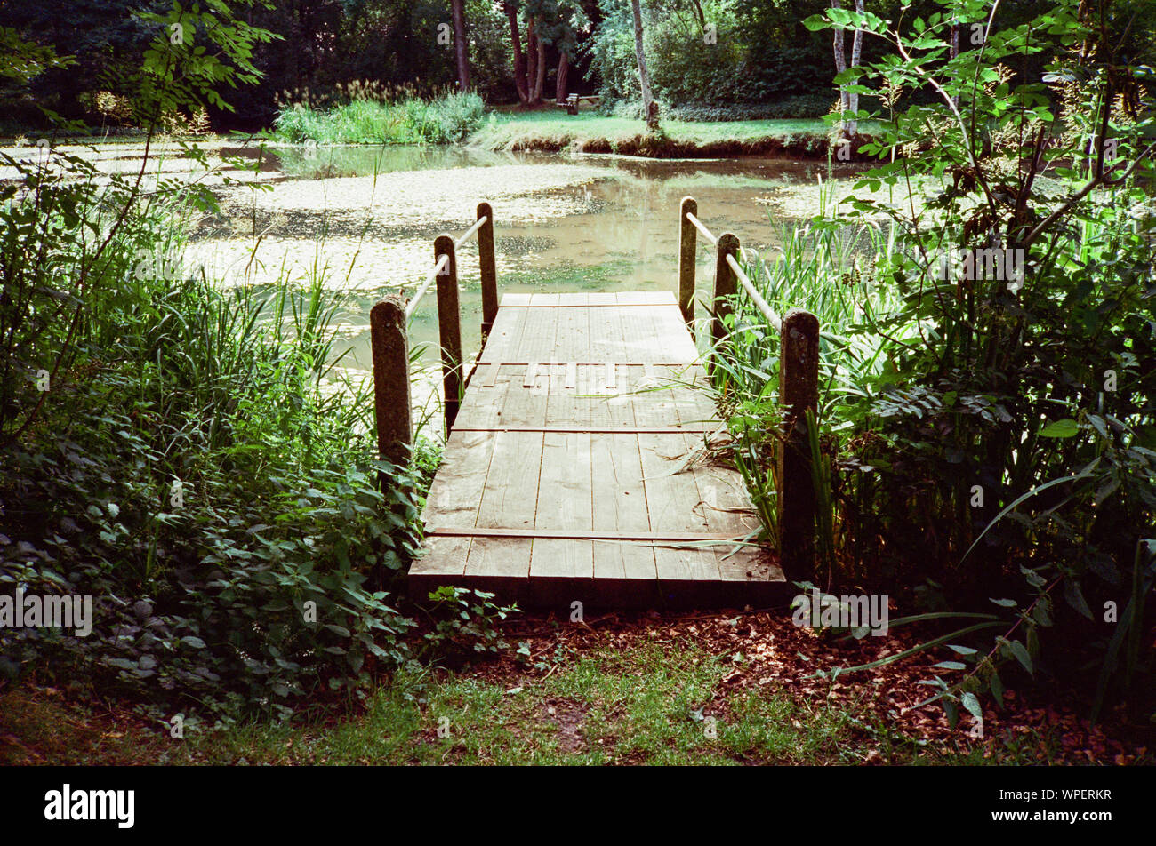 Swelling Hill pond, Four marks, Hampshire, England, United Kingdom