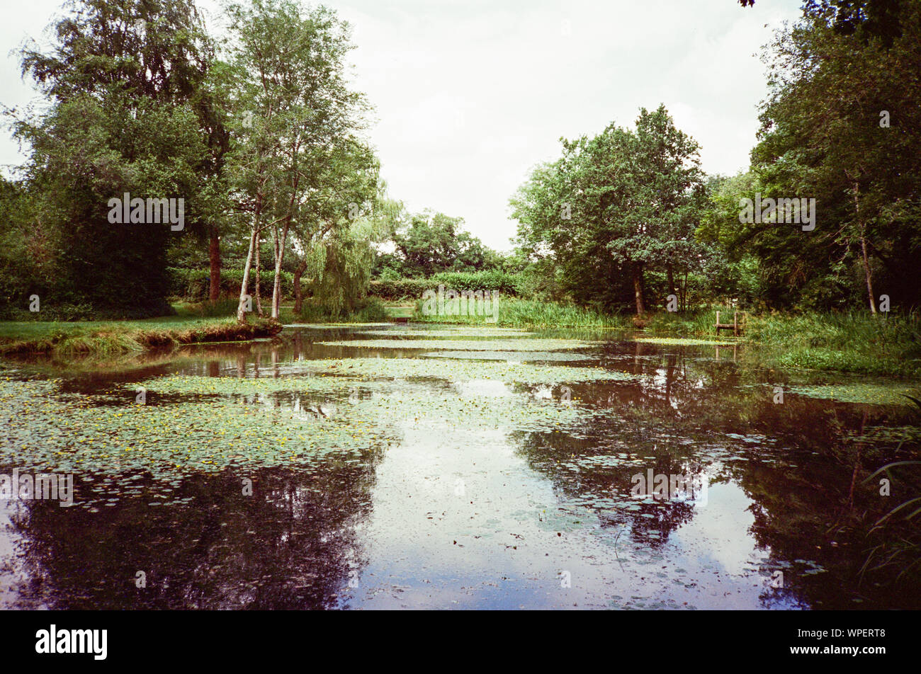 Swelling Hill pond, Four marks, Hampshire, England, United Kingdom