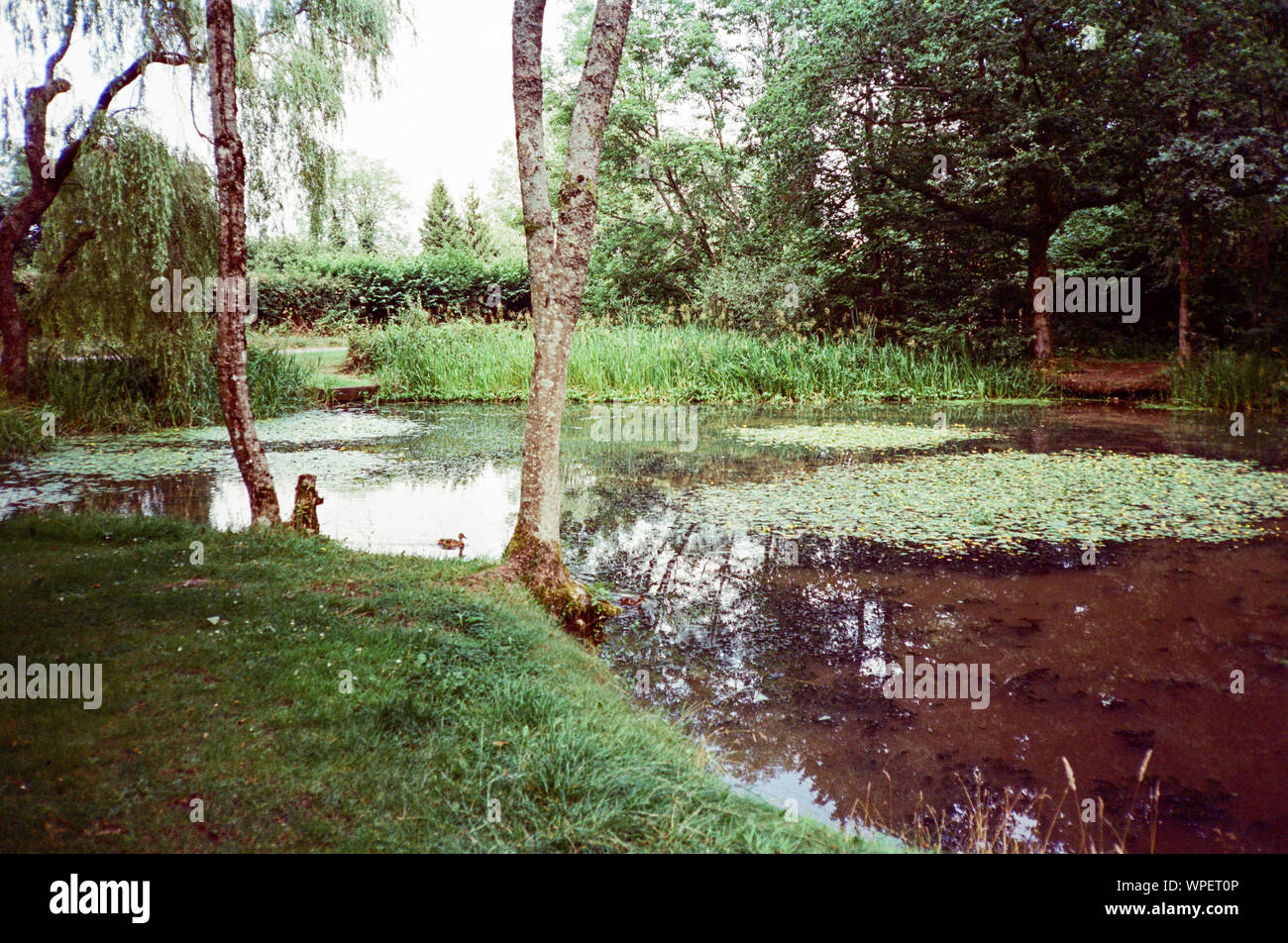 Swelling Hill pond, Four marks, Hampshire, England, United Kingdom