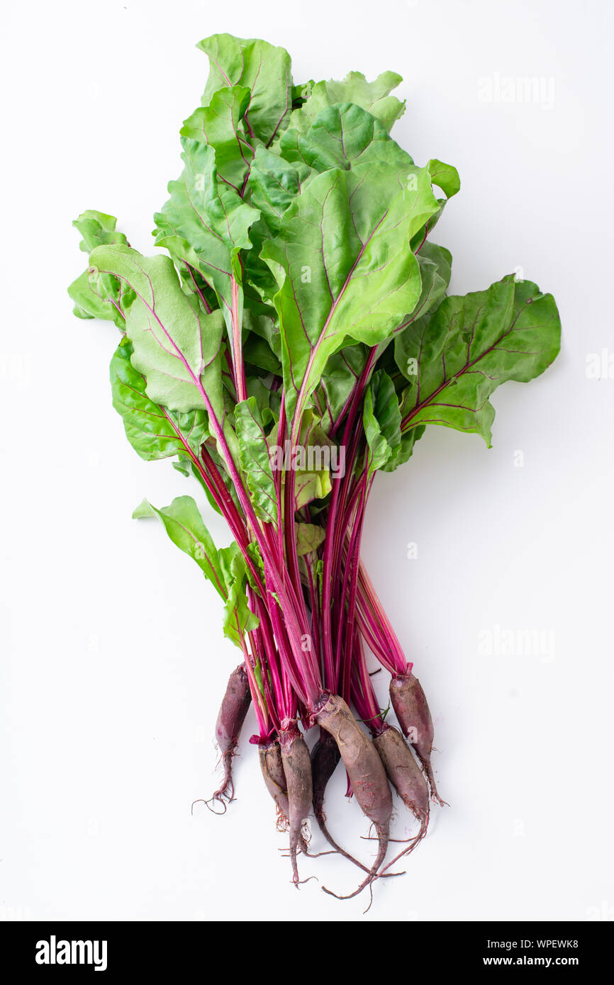 Young beetroot green tops on white background Stock Photo