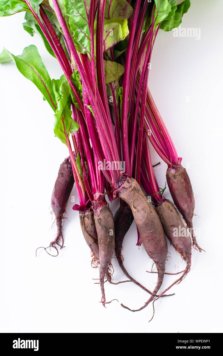 Young beetroot green tops on white background Stock Photo
