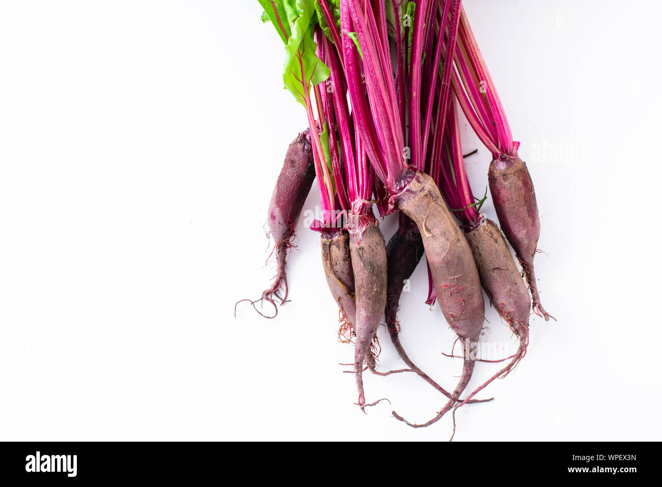 Young beetroot green tops on white background Stock Photo