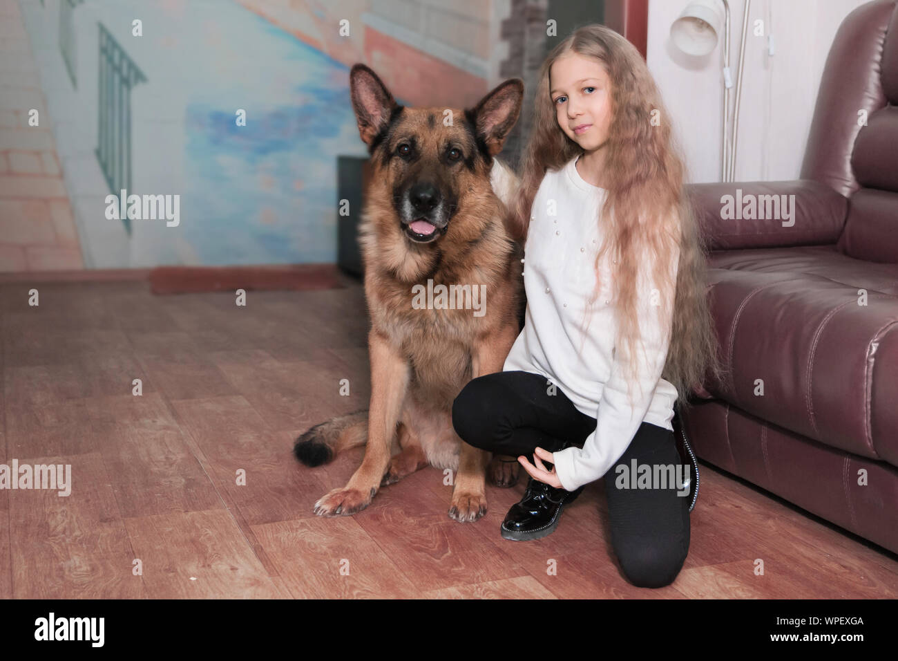 portrait of a teenage girl and her friendly big dog Stock Photo - Alamy