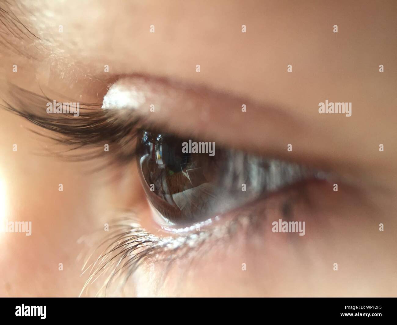 Close-up Of Woman With Brown Eye Stock Photo