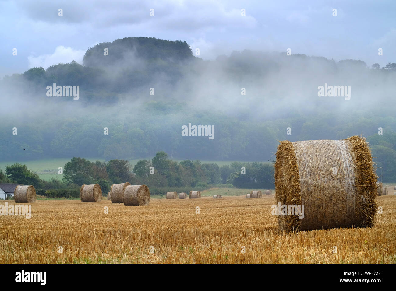 Lewes, East Sussex, UK. 9th Sep, 2019. Damp and grey weather settles over the South Downs national Park near Lewes, East Sussex. Credit: Peter Cripps/Alamy Live News Stock Photo