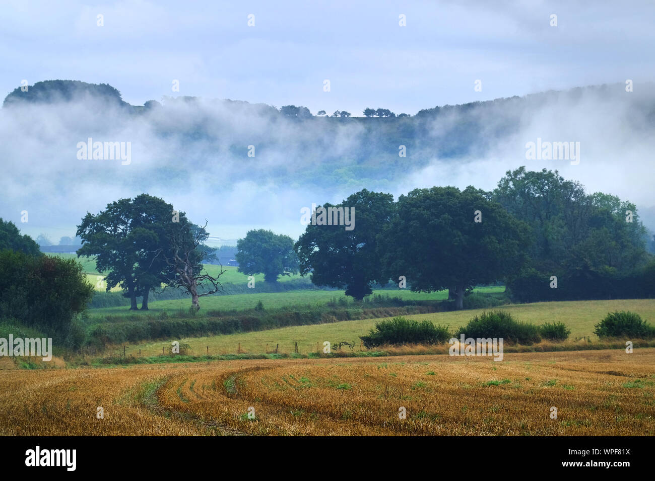Lewes, East Sussex, UK. 9th Sep, 2019. Damp and grey weather settles over the South Downs national Park near Lewes, East Sussex. Credit: Peter Cripps/Alamy Live News Stock Photo