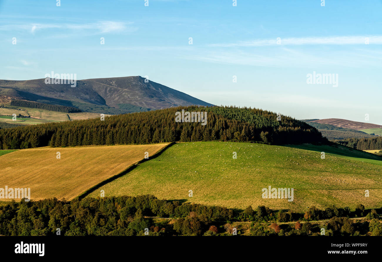 7 September 2019. Ben Rinnes, Dufftown, Moray, Scotland, UK. This is ...
