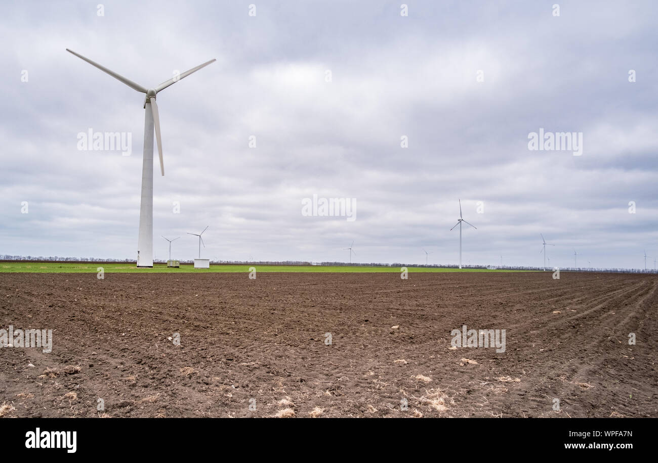 A field of wind turbines producing electricity Stock Photo