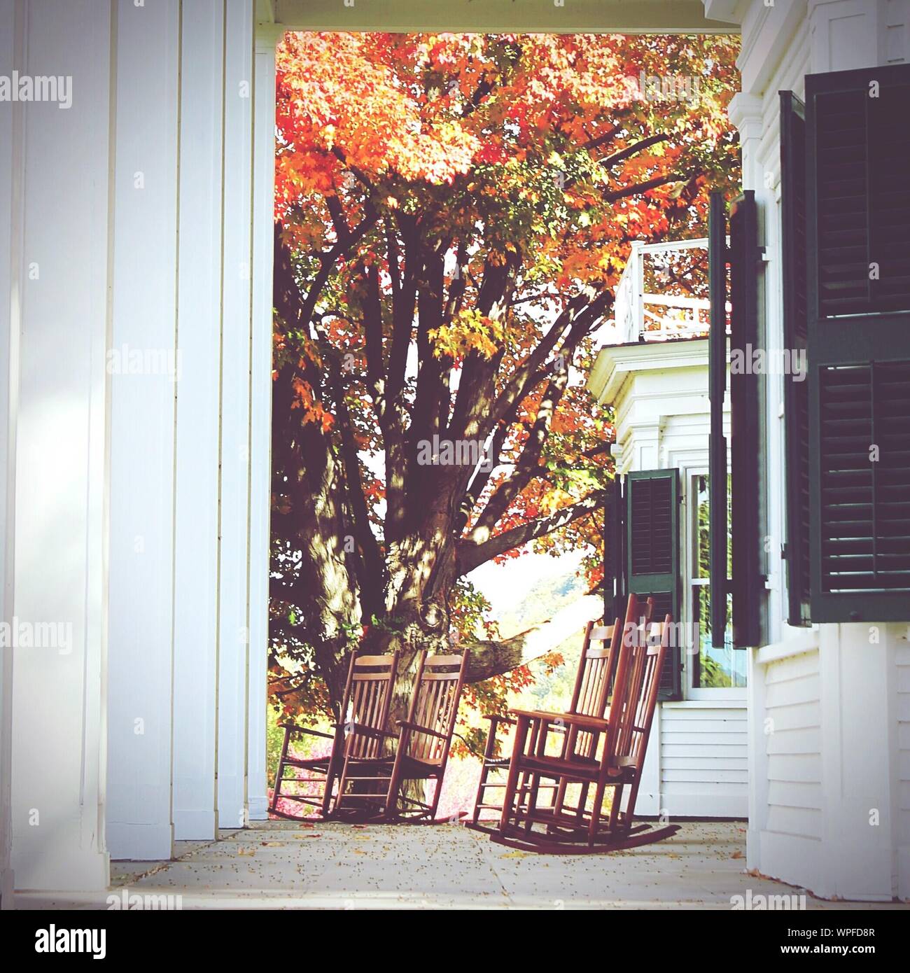 Chairs On Floor Against Trees Stock Photo Alamy