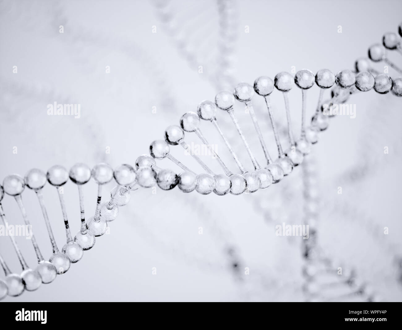 Water DNA. Science background molecules water on gray background. 3D rendering illustration Stock Photo