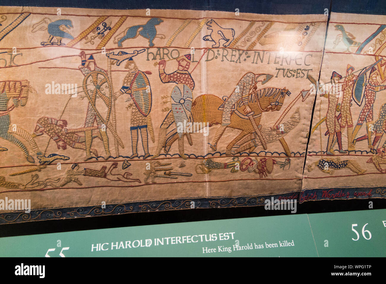 Victorian replica of the Bayeux tapestry housed in Reading Museum, Berkshire. UK. This part of the tapestry shows the death of King Harold. (113) Stock Photo