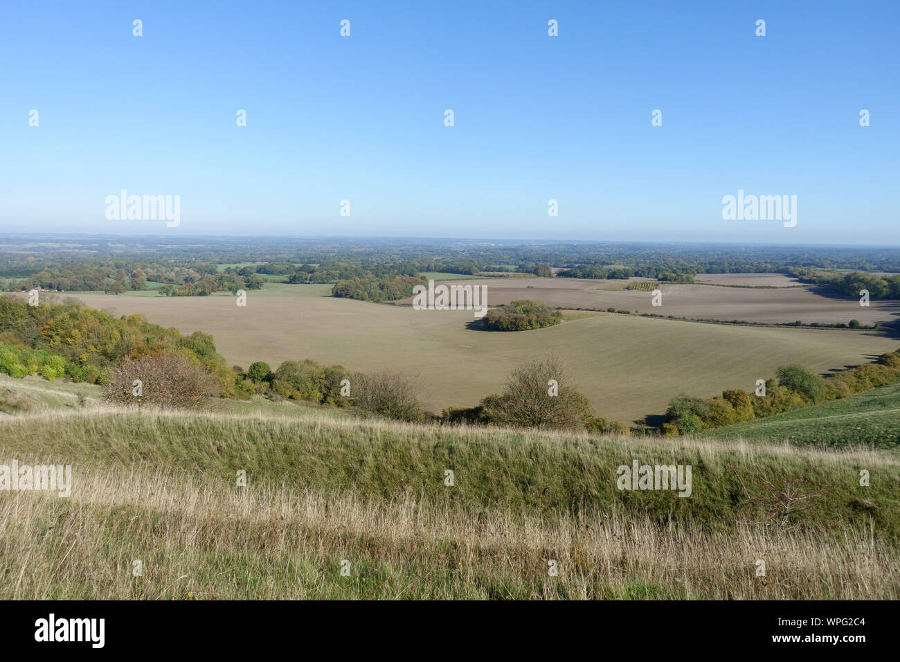 View from chalk downland of autumn countryside with trees turning young cereal crops fields and blue sky, West Berkshir, October Stock Photo