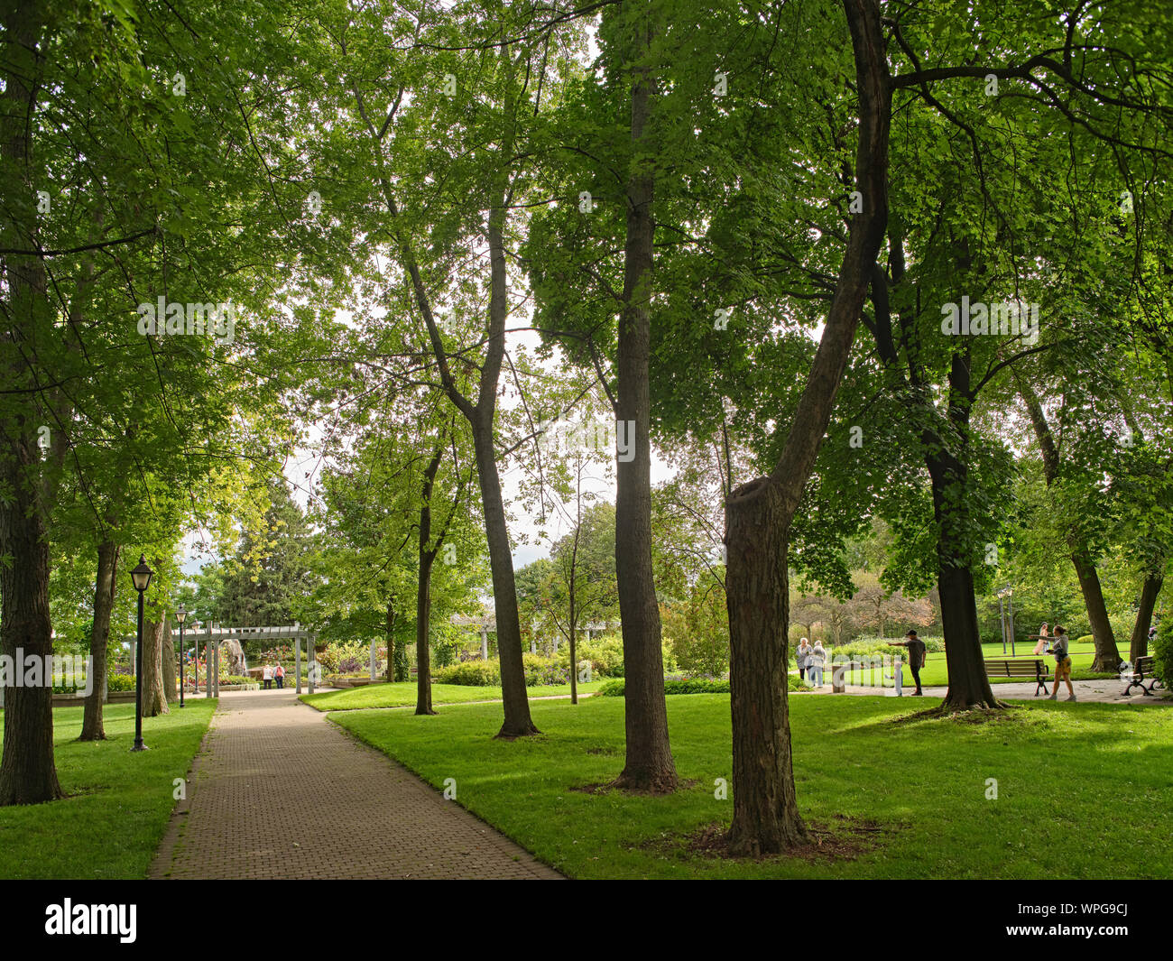Rosetta McClain Park Toronto Stock Photo - Alamy