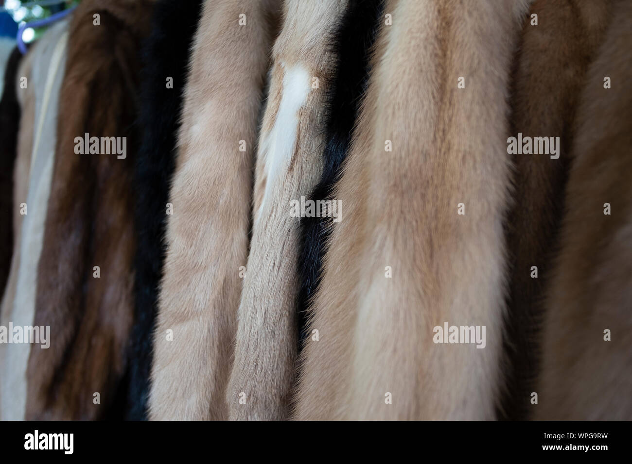 Vintage Fur Coats High Resolution Stock Photography and Images - Alamy