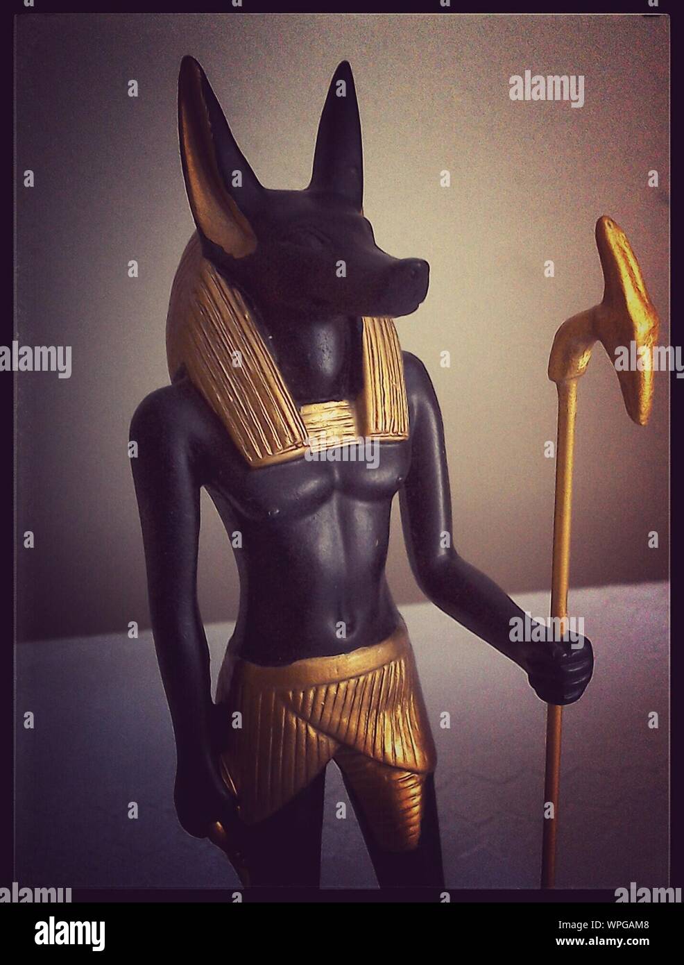 Statue Of Anubis Against Wall Stock Photo Alamy