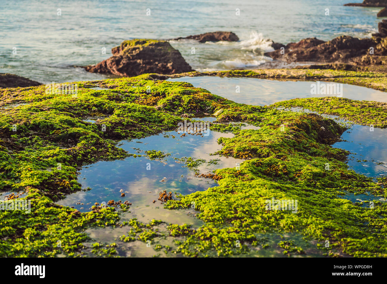Pantai Tegal Wangi Beach Bali Island Indonesia Stock Photo Alamy