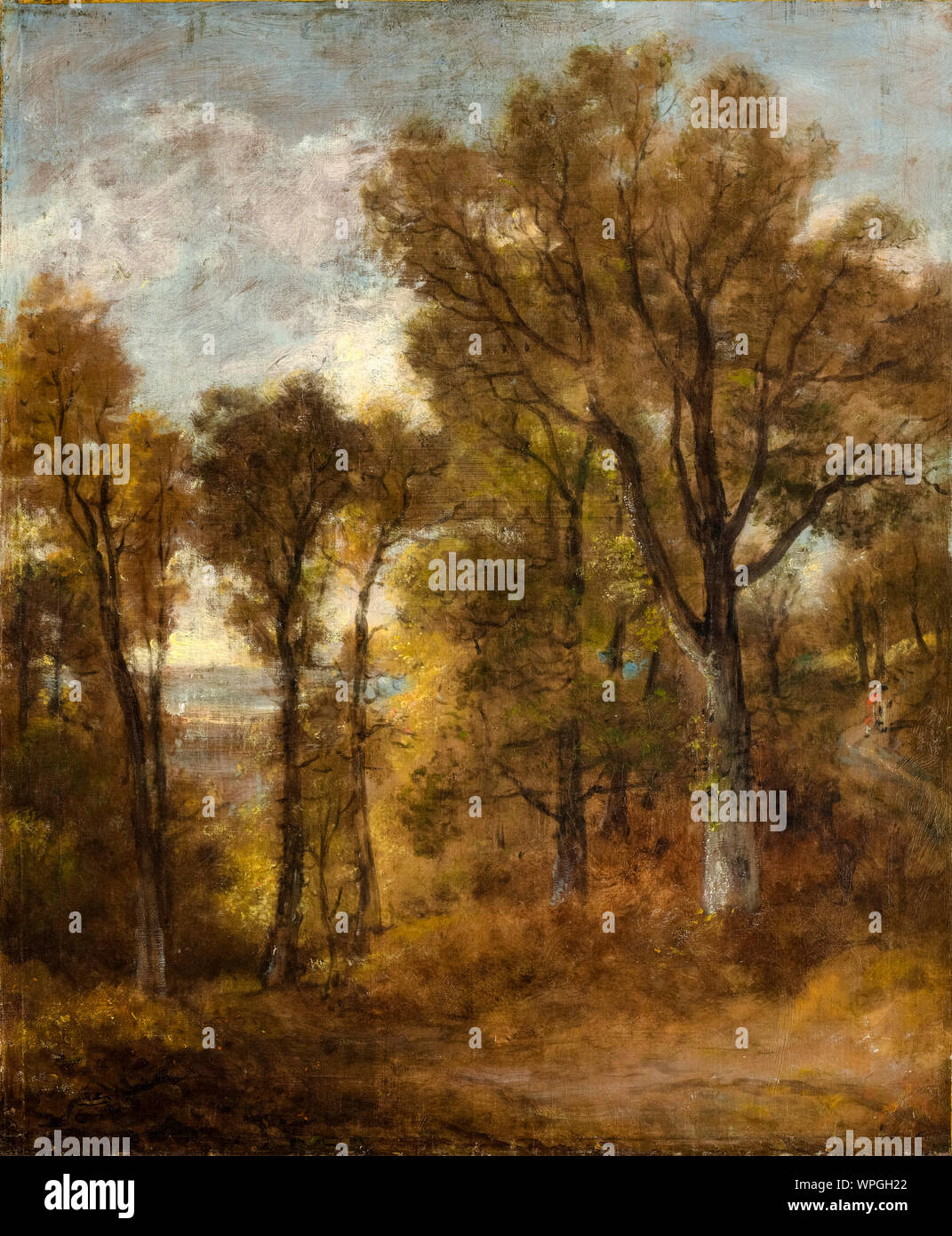 John Constable, Woodland scene overlooking Dedham Vale, landscape painting, 1802-1803 Stock Photo