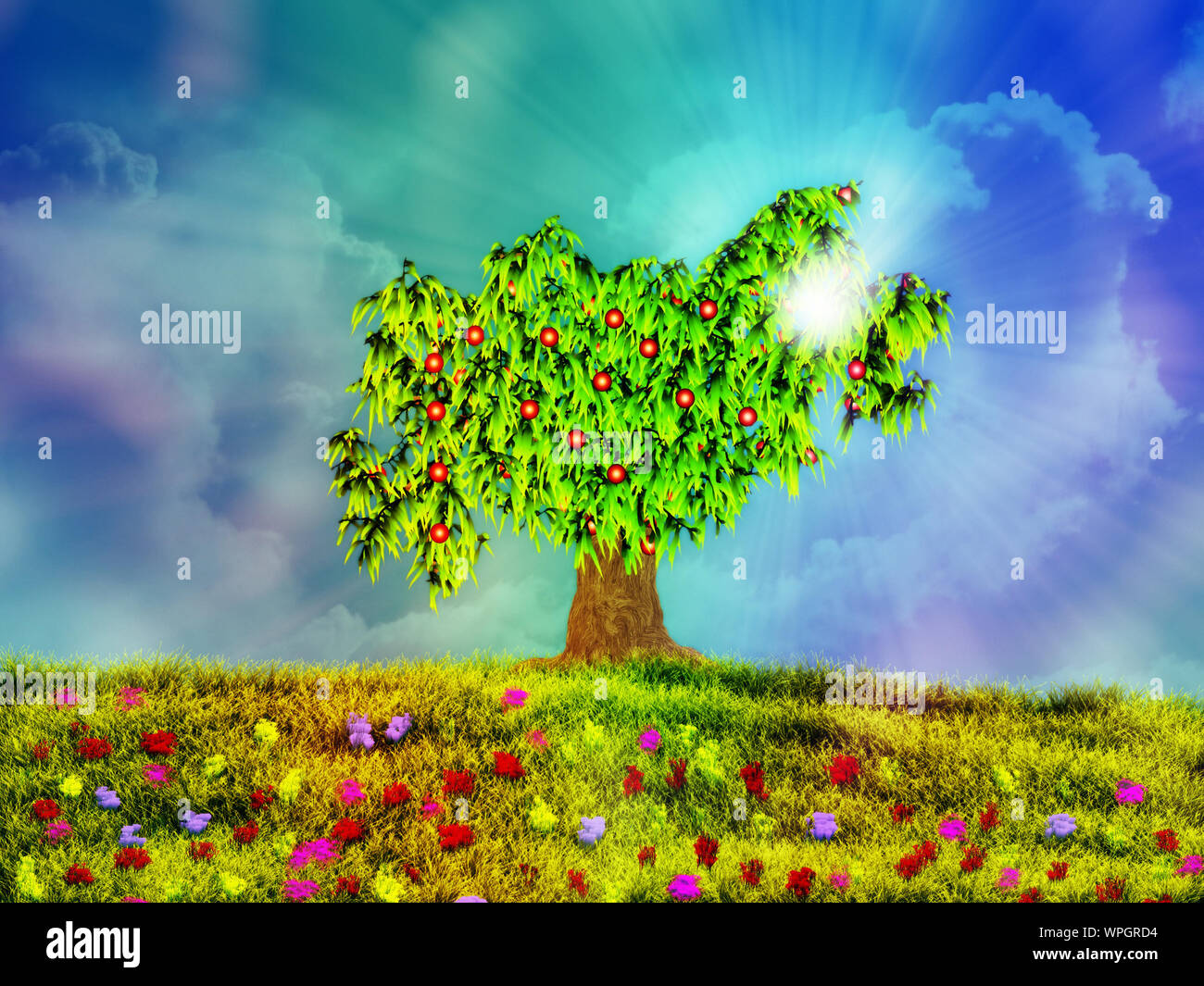 Illustration of fruit tree and meadow in bloom Stock Photo - Alamy