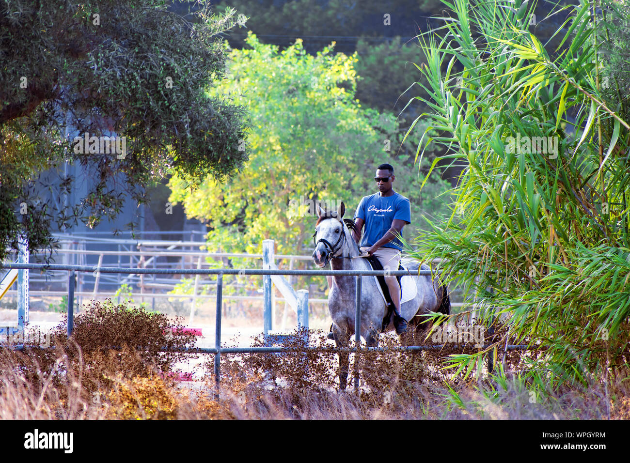 Happy Riders High Resolution Stock Photography and Images - Alamy