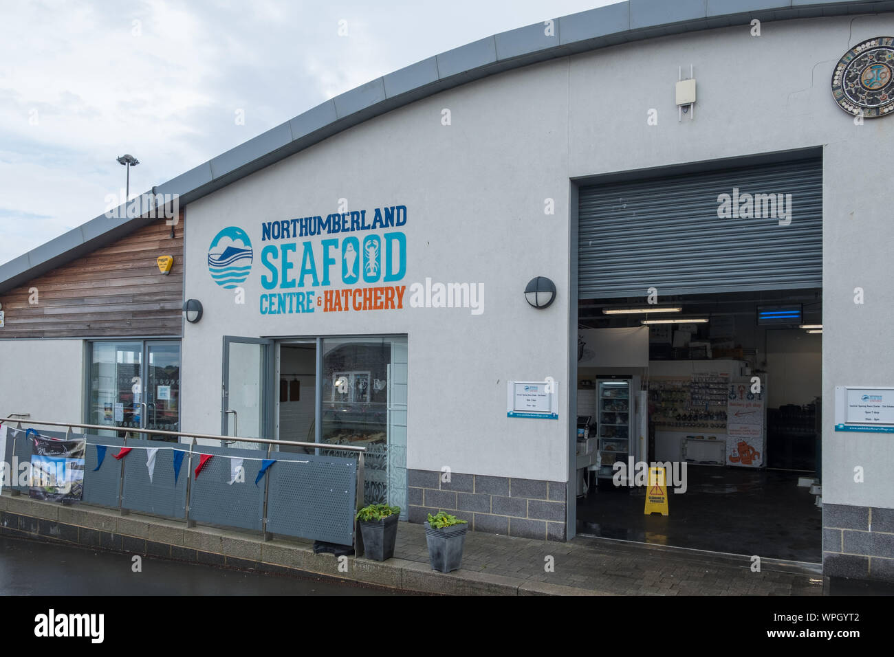 Northumberland seafood centre hi-res stock photography and images - Alamy