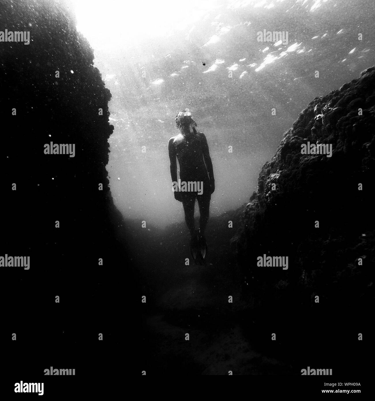 Man swimming underwater in swimming Black and White Stock Photos ...