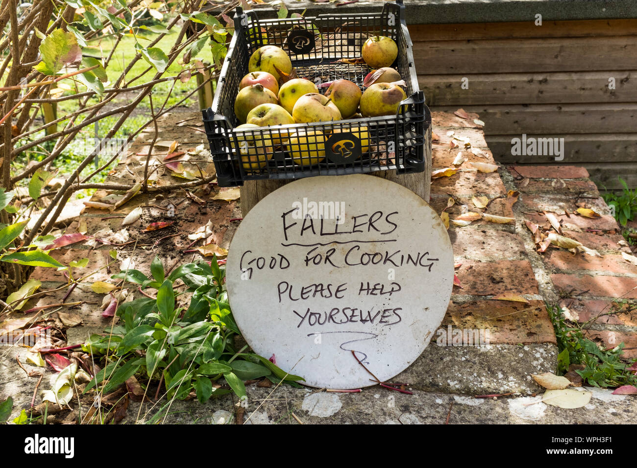 Generous offering fallen apples free of charge handwritten sign, Gloucestershire, UK Stock Photo