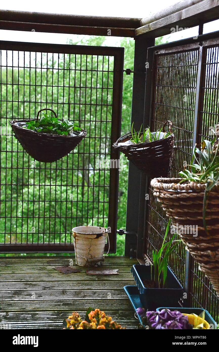 Flower basket balcony hires stock photography and images Alamy