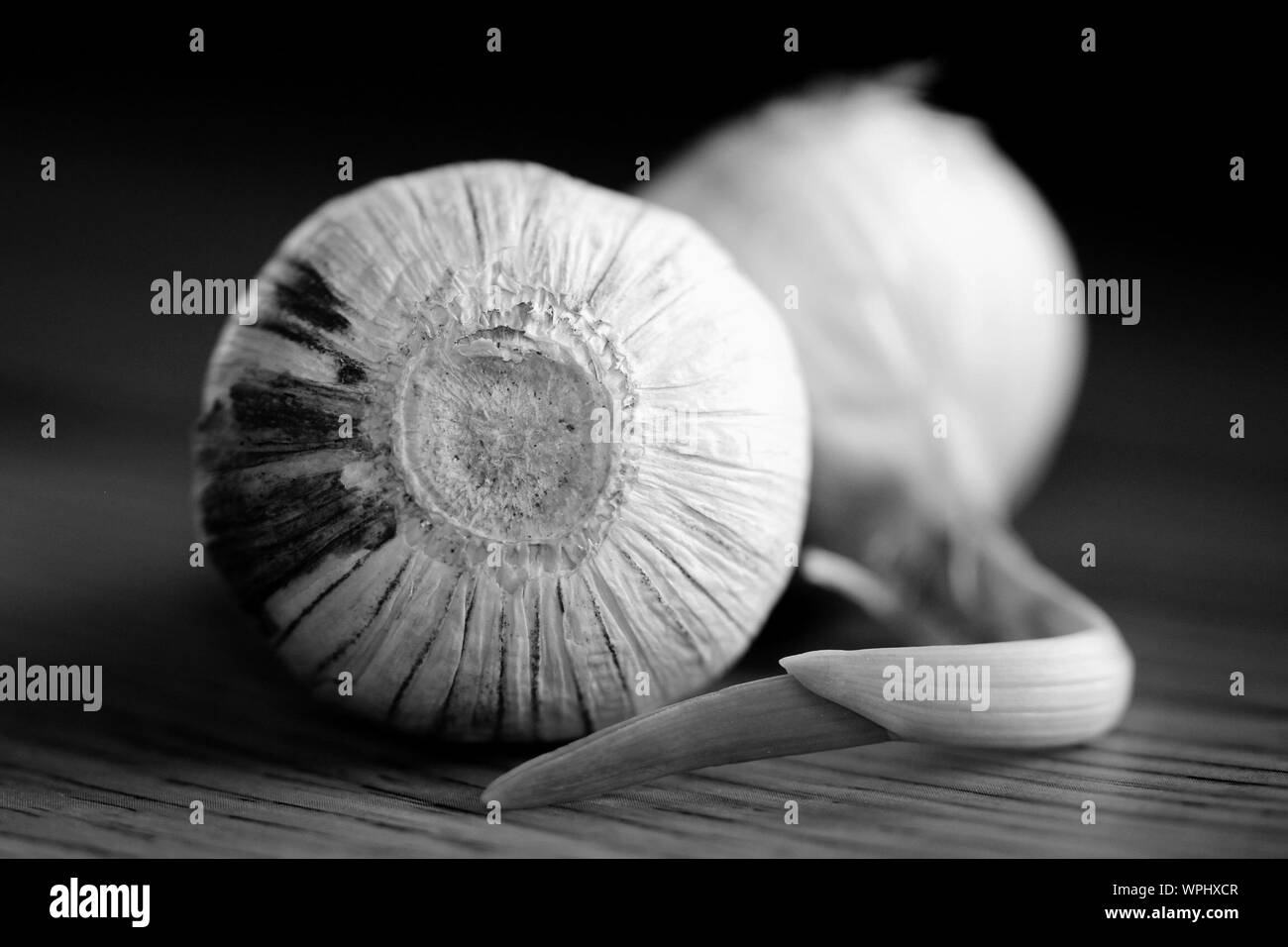 Chive onion still life hires stock photography and images Alamy