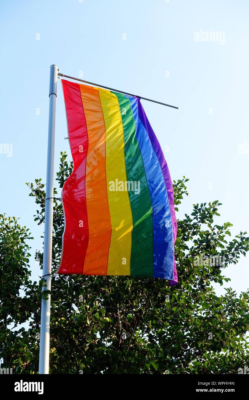 Low Angle View Of Rainbow Flag Against Tree And Sky Stock Photo