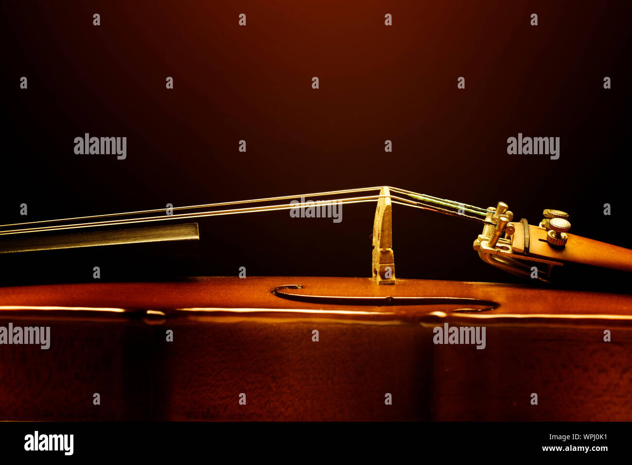Close up violin on black background Stock Photo