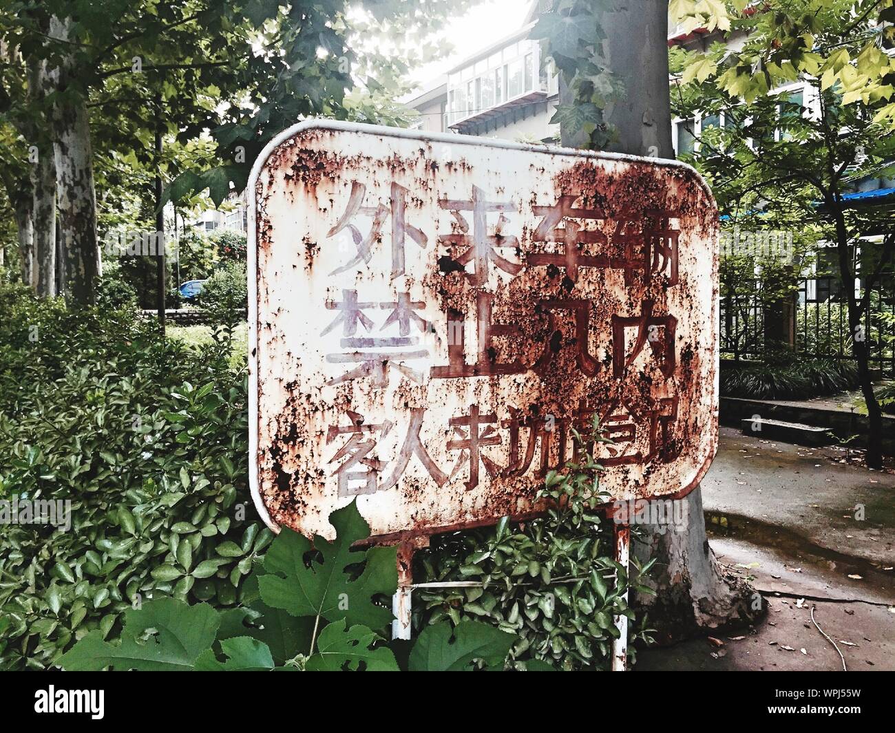 Abandoned Information Sign Against Tree Stock Photo Alamy