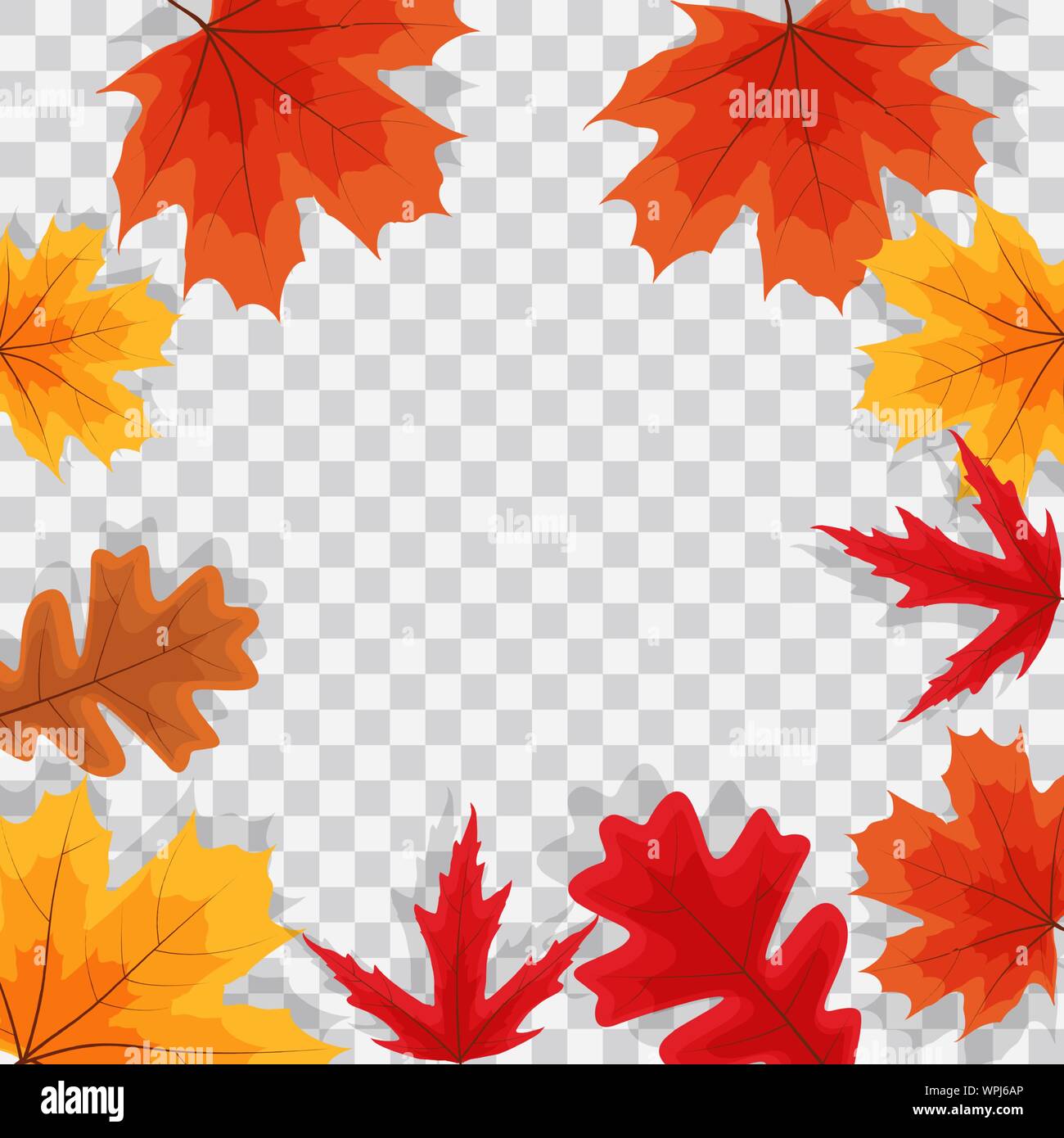 Autumn Natural Leaves on Transparent Background. Vector Illustration ...