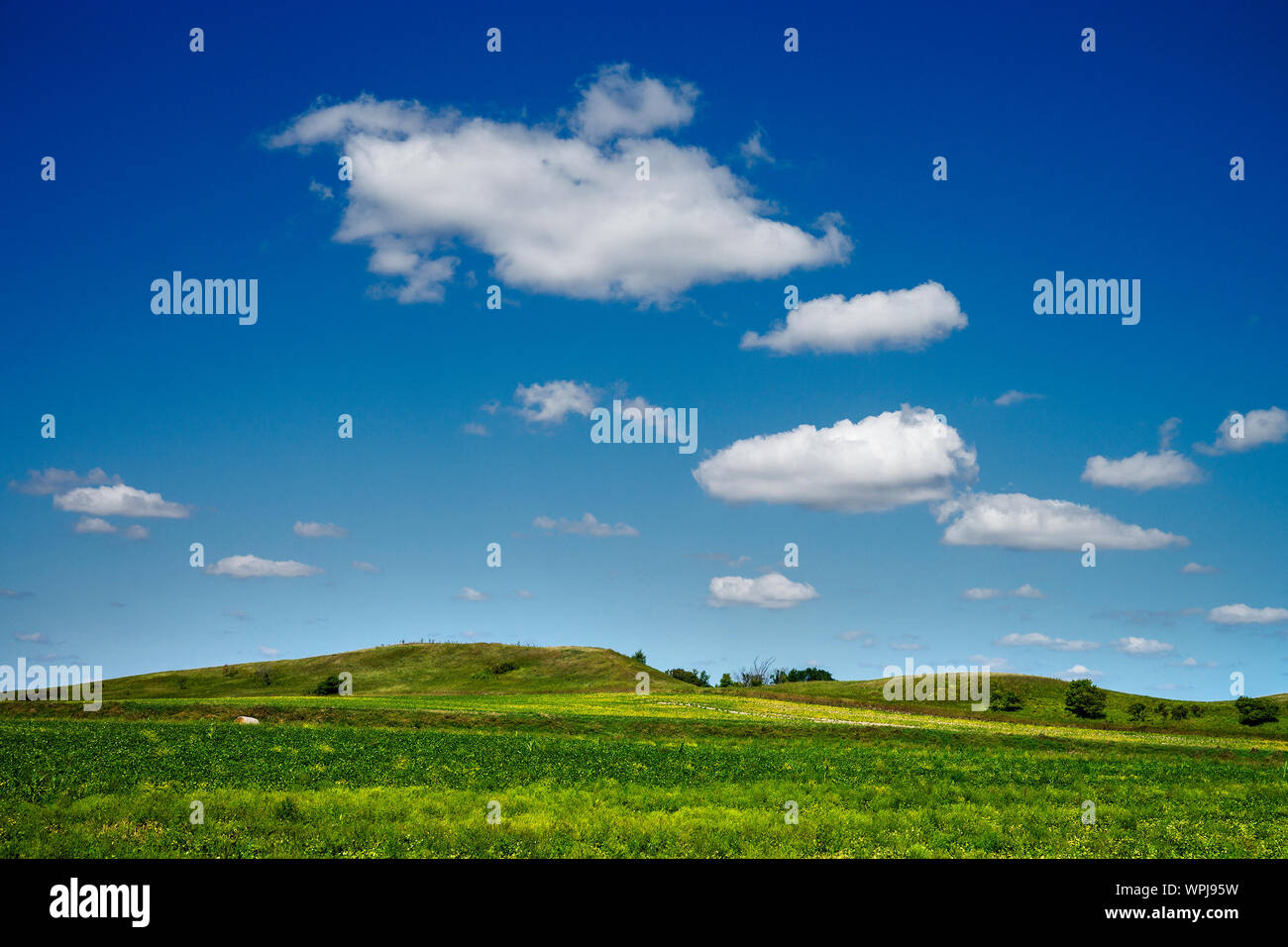 Prairie Landscape With Gracial Hills In Background Photograph Taken On A Bright Summer Day With A Deep Blue Sky And Soft Clouds In Background Loc Stock Photo Alamy