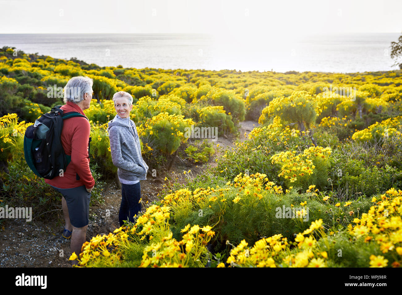 High angle view of senior couple talking while standing on trail by flowers plants against bright sky Stock Photo