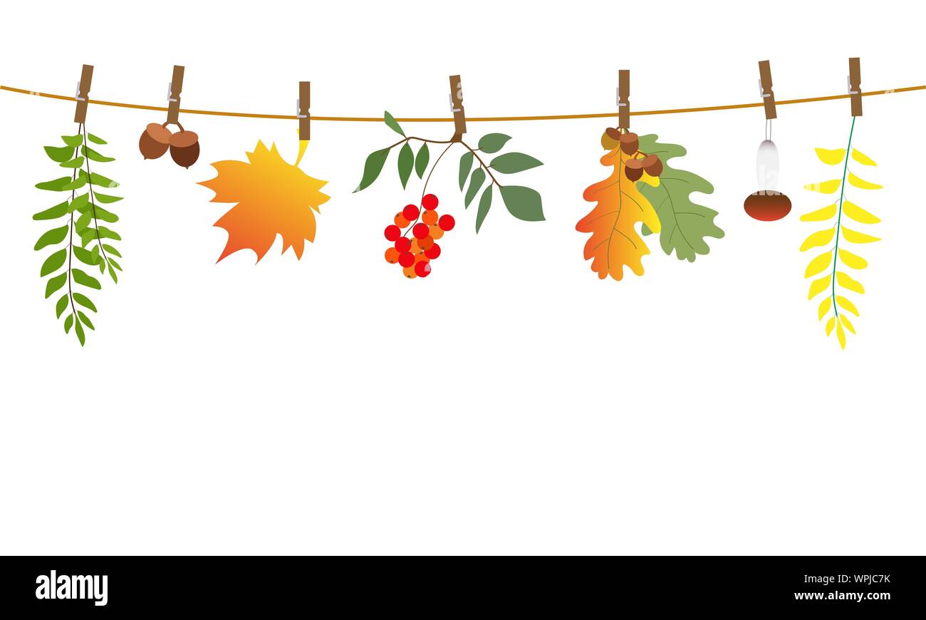Application of autumn leaves, mushrooms, acorns suspended on a rope. Vector illustration Stock Vector