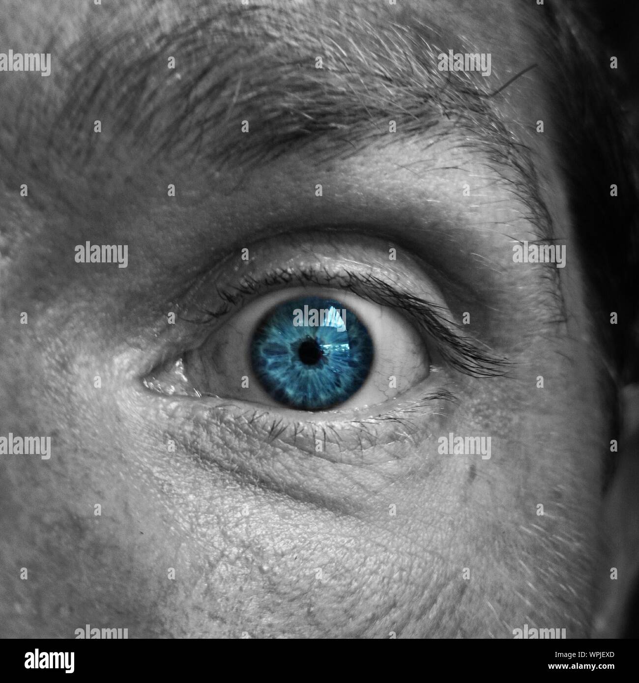 Staring blue eye hi-res stock photography and images - Alamy