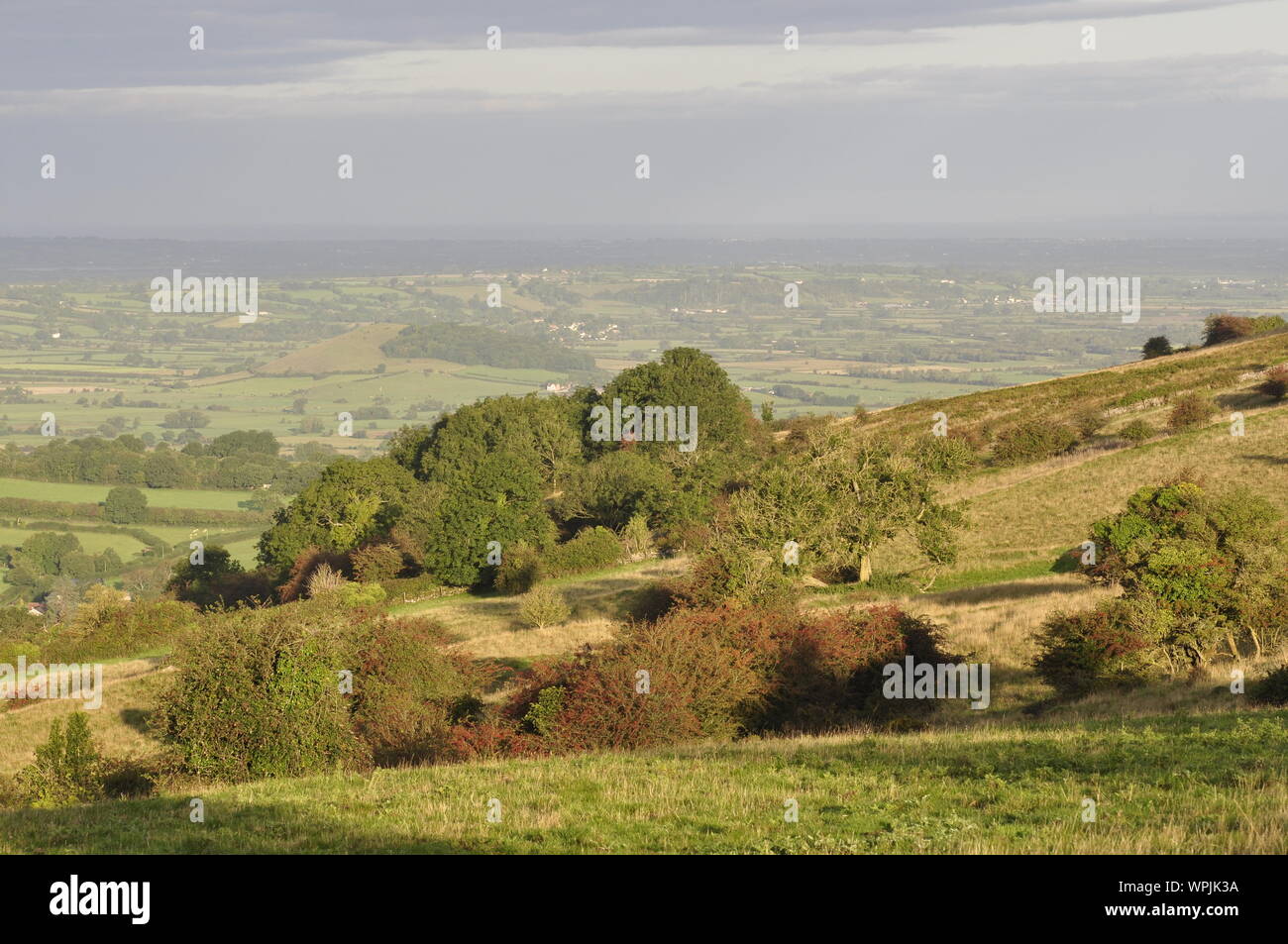 Westbury sub mendip hires stock photography and images Alamy