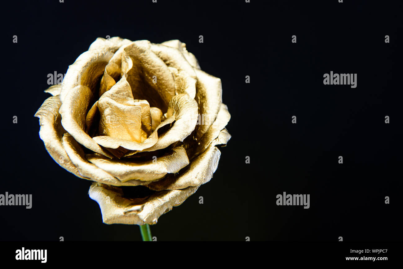 Floristics Business Vintage And Jewelry Wealth And Richness
