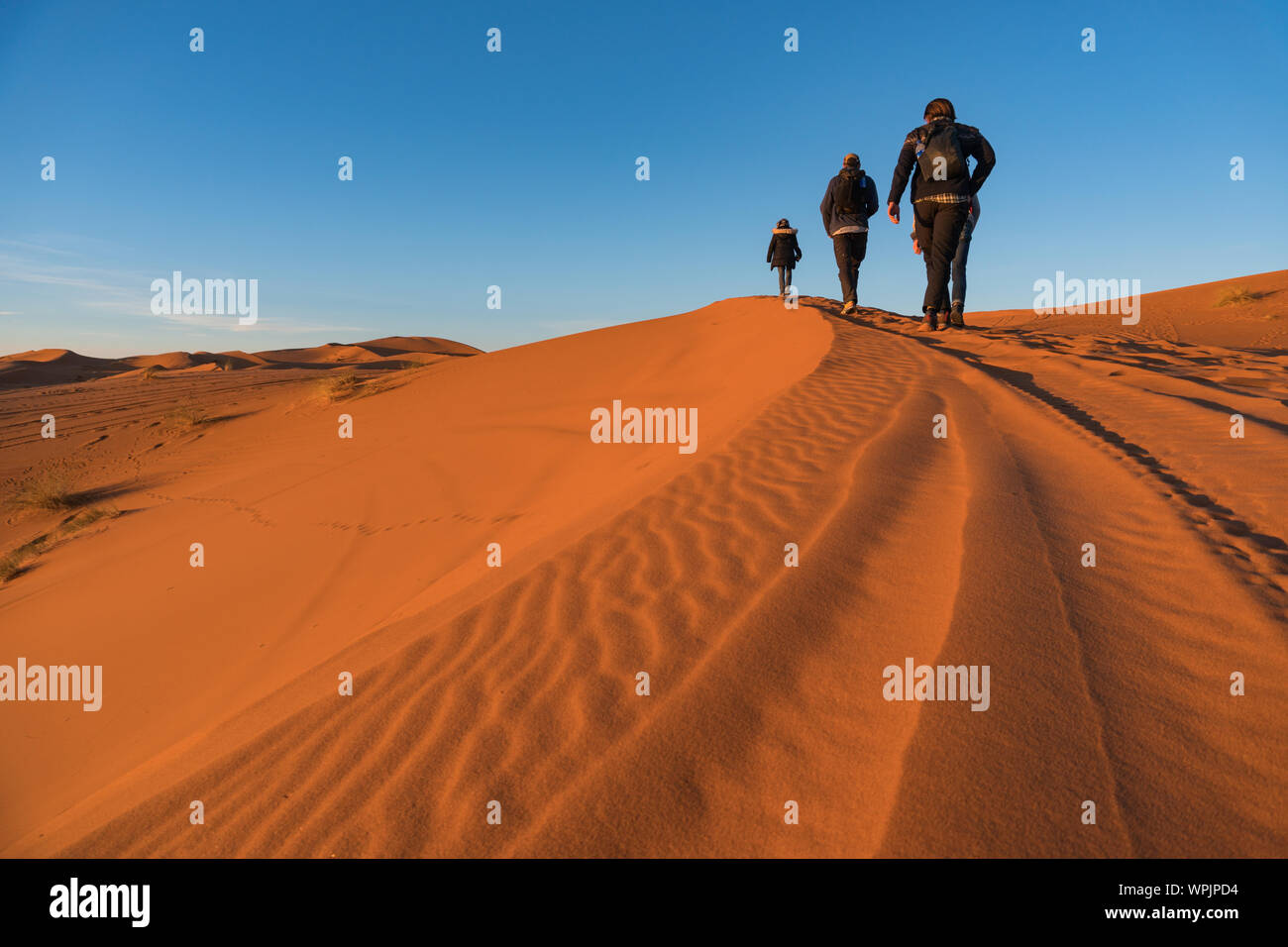 Three hikers are goiong up on the sand Dune in Erg Chebbi desert, Morocco Stock Photo