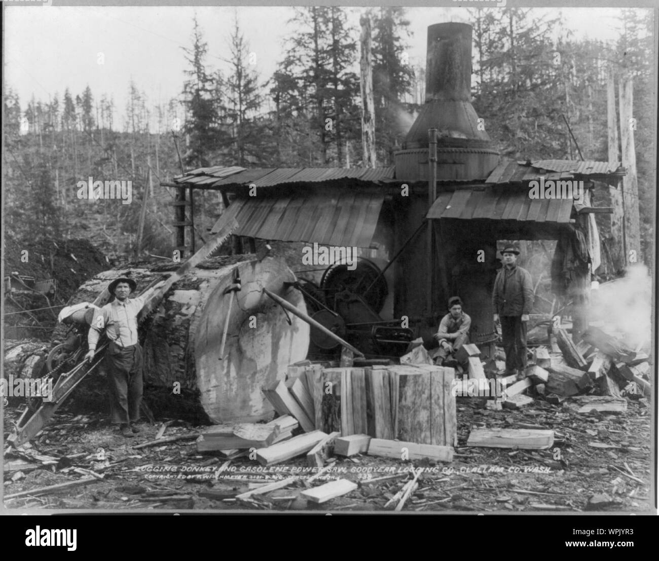 Logging donkey hi-res stock photography and images - Alamy