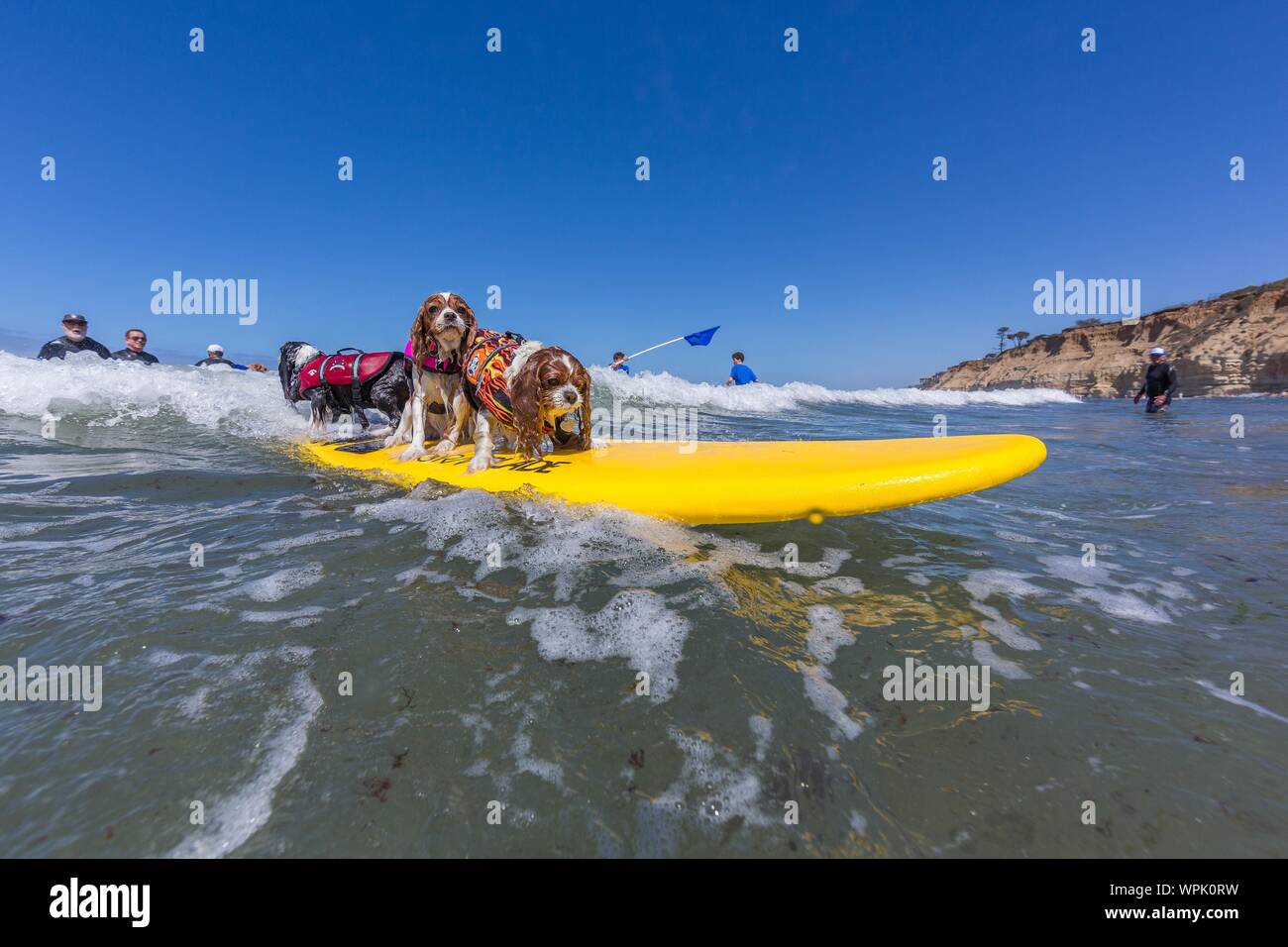 Delmar Ca Usa 9th Sep 2019 Everyone Has A Good Time