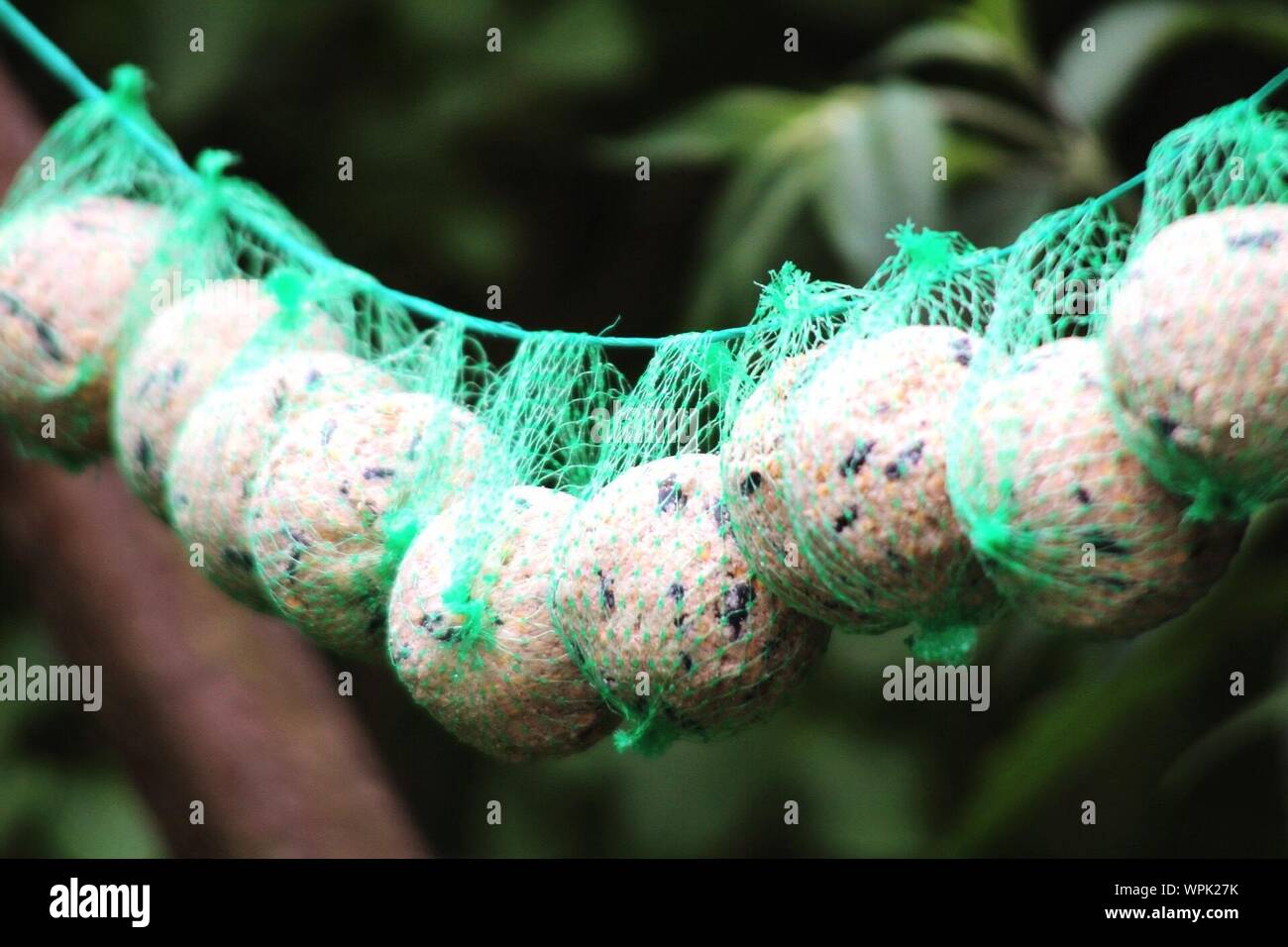Rope of dried fruit hi-res stock photography and images - Alamy