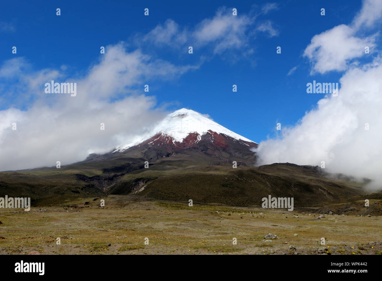 Cotopaxi volcano landscape in hi-res stock photography and images - Alamy