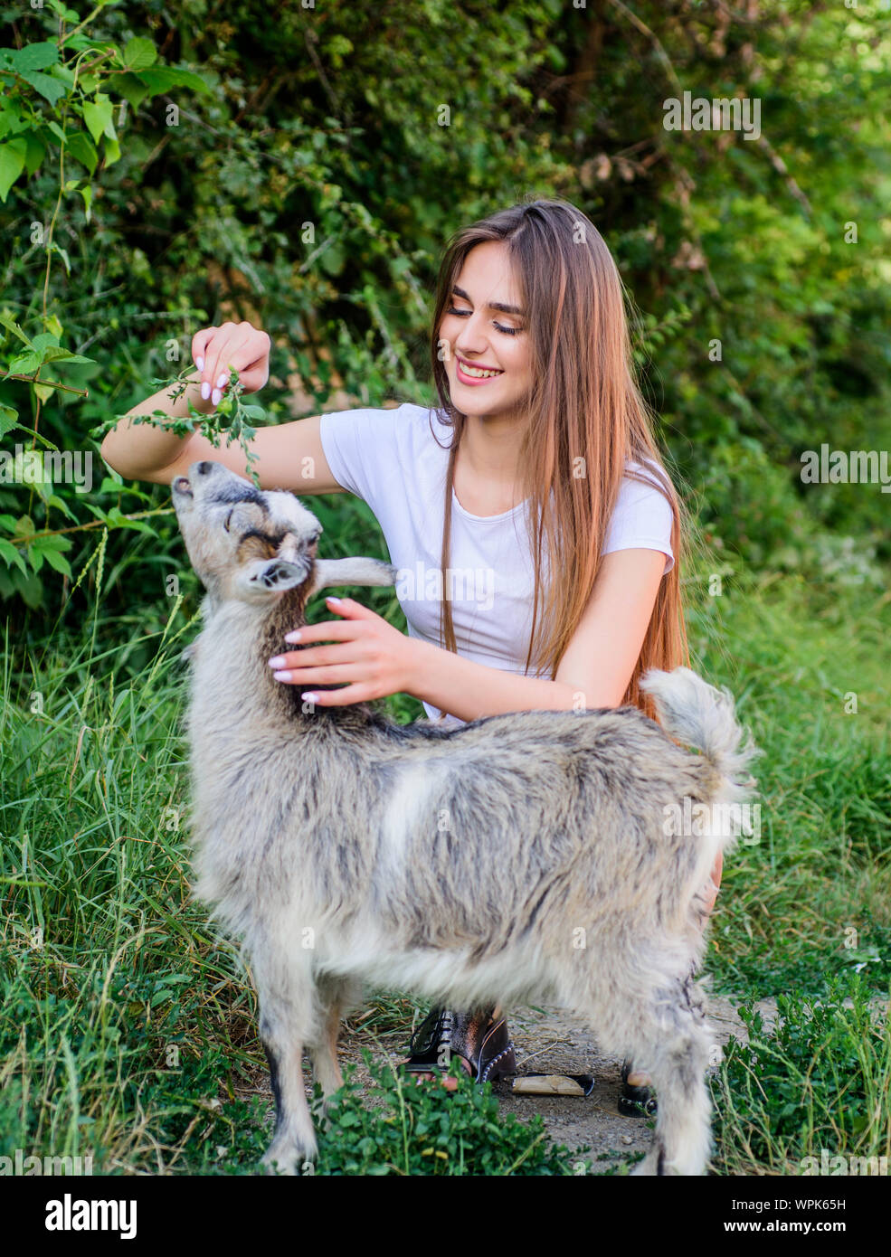 Feeding animal. Animals law. Woman and small goat green grass. Farm and farming concept. Village animals. Protect animals. Girl play cute goat. Veterinarian occupation. Eco farm. Love and care Stock Photo - Feeding animal. Animals law. Woman and small goat green grass. Farm and farming concept. Village animals. Protect animals. Girl play cute goat. Veterinarian occupation. Eco farm. Love and care Stock Photo -