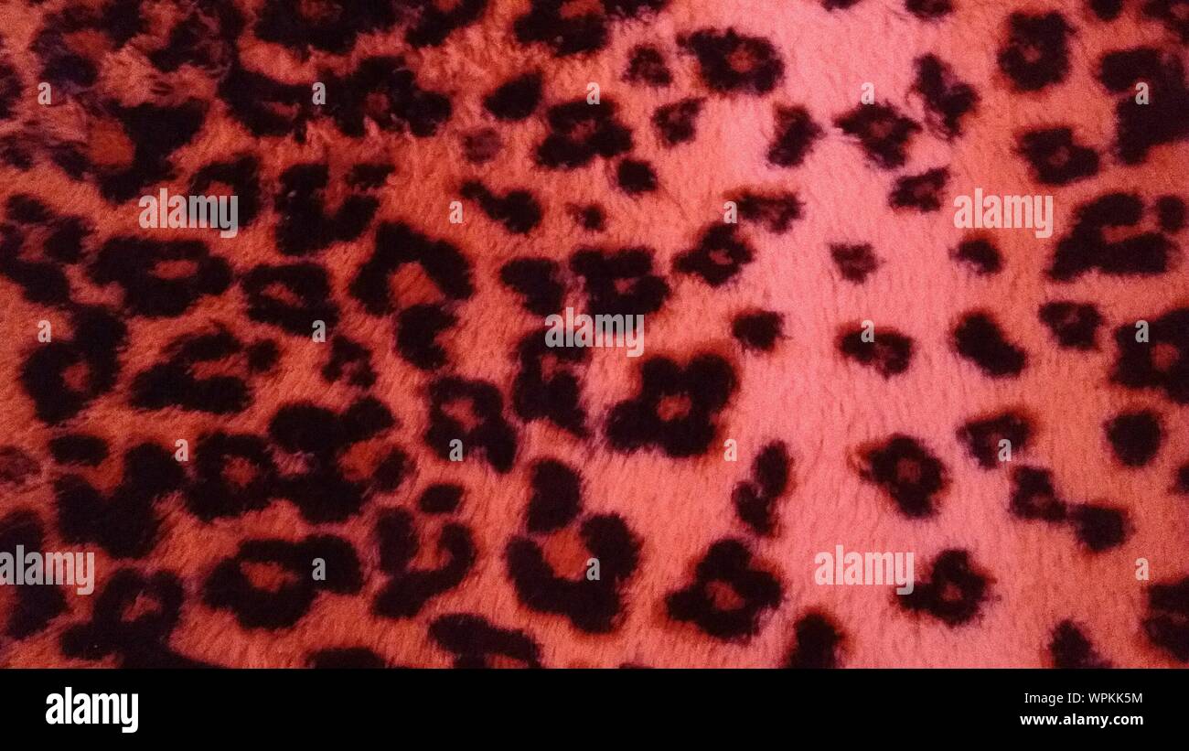 Full Frame Shot Of Leopard Print Blanket Stock Photo Alamy