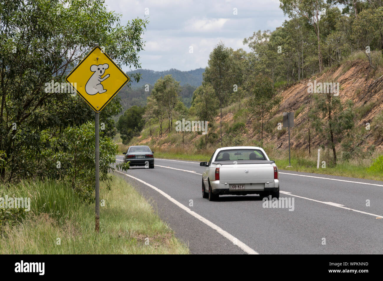 A Koala warning sign seen on roads that have local koala habitat in Queensland, Australia.   The sign warns motorists that they are approaching a loca Stock Photo